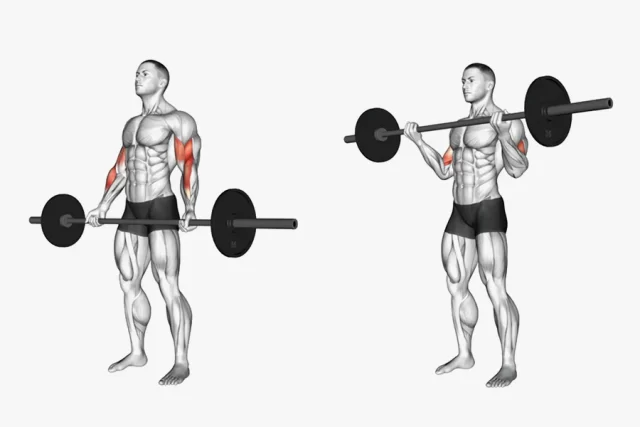 target the biceps and forearms