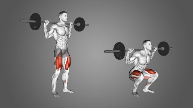 Squats are a fundamental compound exercise 